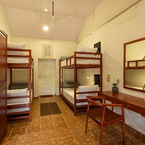 Bed 4-Bed Mixed Dormitory Room