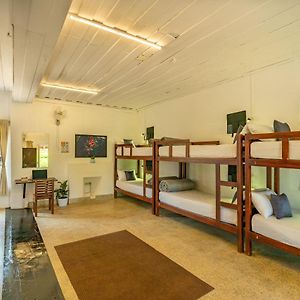 Bed 8-Bed Mixed Dormitory Room